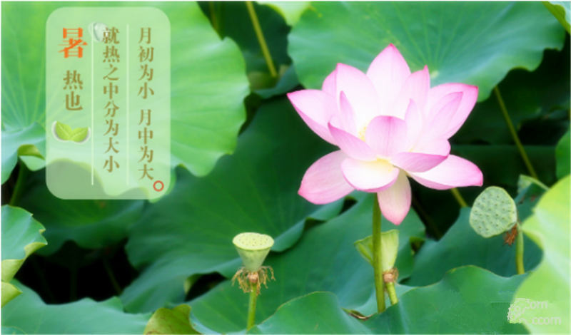 暑臻三伏醉難熬，拭汗揮巾似雨飄——鐵絲成型機